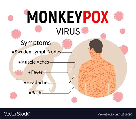 Monkeypox Symptoms Infographic Banner With Text Vector Image