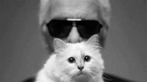 Karl Lagerfelds Katze Das Macht Choupette Drei Jahre Nach Seinem Tod