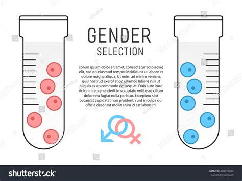 Gender Selection Poster Vitro Fertilization Selection Stock Vector Royalty Free 470072684