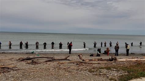 Steelhead Fishing Trout Run Lake Erie PA Sunday Oct 18 2020 YouTube