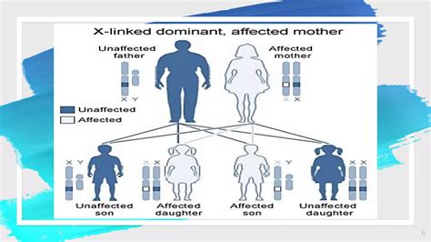 Sex Linked Inheritance Ppt