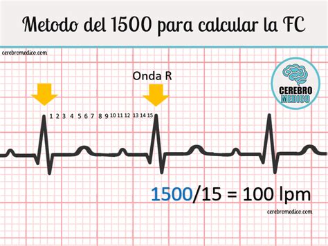 Como Calcular A Frequência Cardíaca De Repouso Edulearn