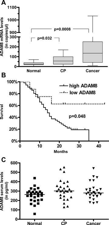 Adam8 Expression In Pancreatic Tissues And Serum Release A Box And Download Scientific