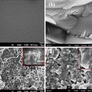 A Raman Spectrum B SEM Image C TEM And D HR TEM Images Of SPG