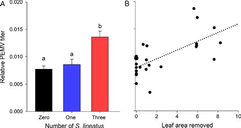 Reciprocal Plant‐mediated Interactions Between A Virus And A Non‐vector