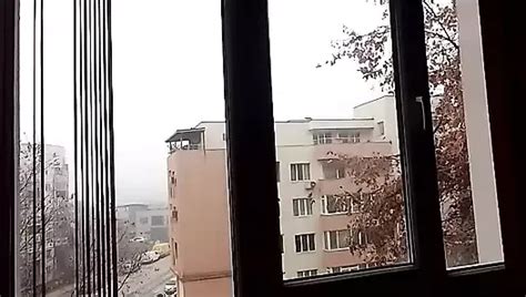 Bulgarian Porn Videos And Amateur Sex Scenes Xhamster