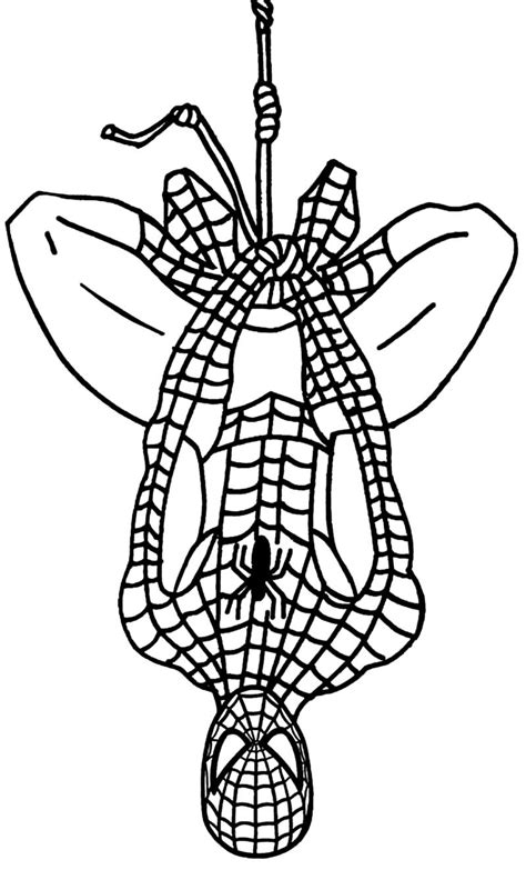 23 Desenhos de Homem-Aranha para colorir - Ver e Fazer