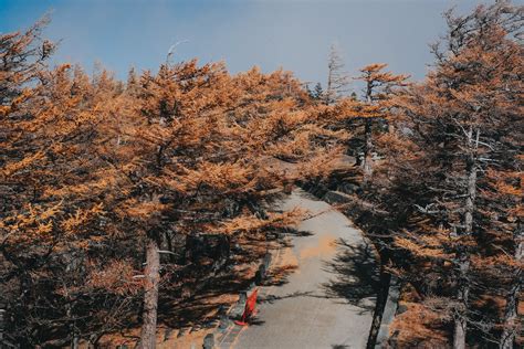 Scenic View Of Mount Fuji · Free Stock Photo