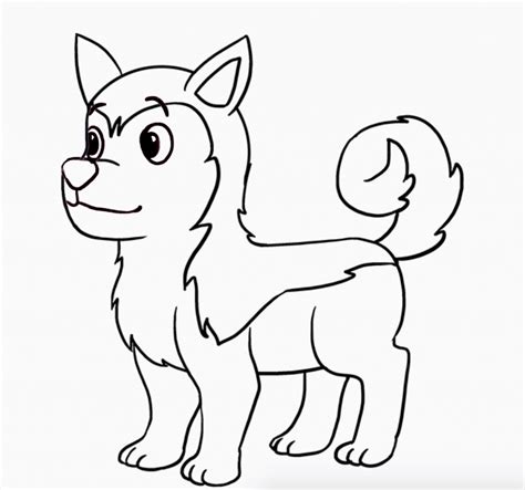 Learn How To Draw A Cute Siberian Husky Dog Easy To Draw Everything