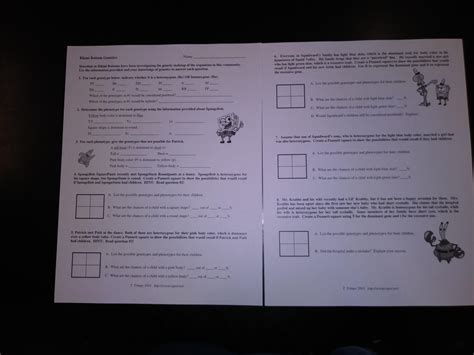 Solved Bikini Bottom Genetics Name It Scientists At Bikini Chegg Worksheets Library