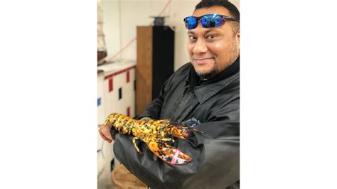 Calico lobster turns up at Maryland fish market | CNN