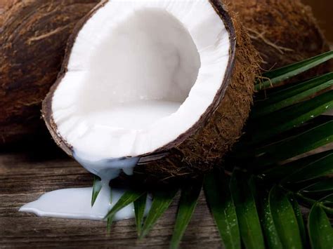 9 Coconut Milk Nutritional Benefits + Recipes - Dr. Axe