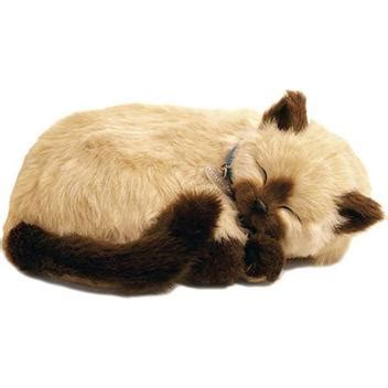 Urso De Pelúcia Que Respira