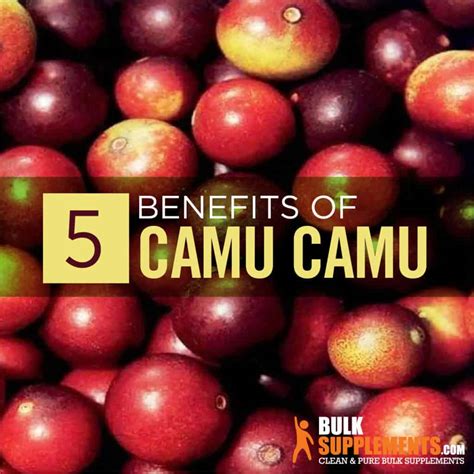 Camu Camu: Benefits, Side Effects & Dosage