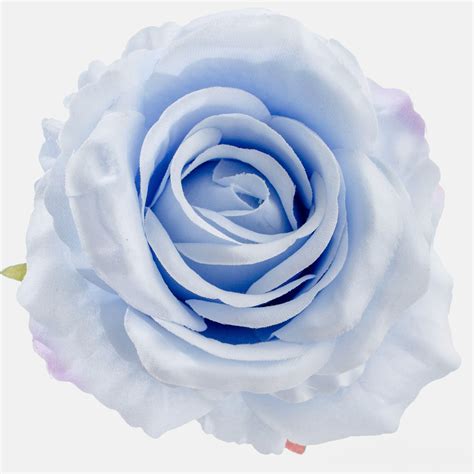 Painted Light Blue Roses 50 Cm Fresh Cut 50 Stems Atelier Yuwaciaojp