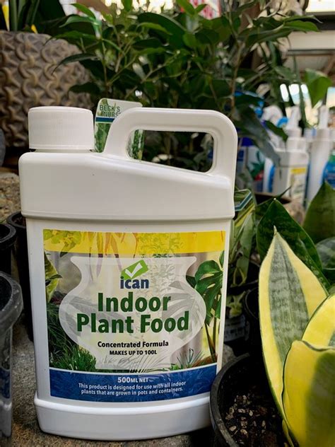 Ican Indoor Plant Food Decor Gardenworld