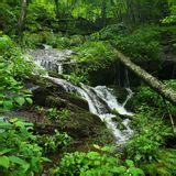 Naked Creek Falls Virginia Reviews Map Alltrails