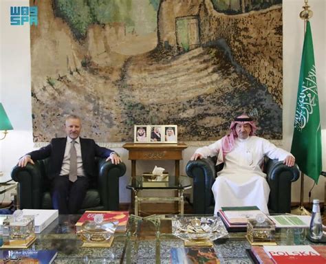 Deputy Foreign Minister Receives Assistant Deputy Minister of Foreign ...