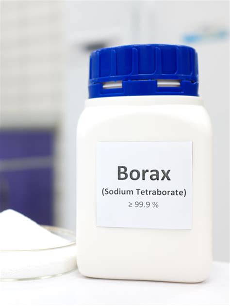 Does Borax kill mold?