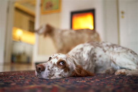 What does it mean when I am overdrawn? | TDECU