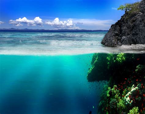 Ocean Reef Wallpaper - WallpaperSafari