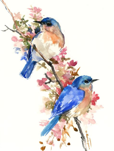 Drawings Of Bluebirds