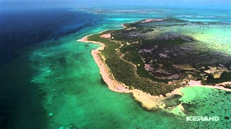 UNDERWATER Cuba. Подводный мир Кубы - YouTube