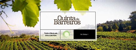 Vinho Tinto Tradicional Quinta De Barreiros