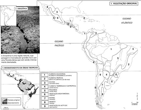 Geografia Fundamental AMÉRICA LATINA VEGETAÇÃO ORIGINAL
