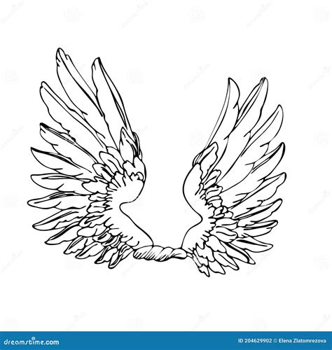 Black And White Wings Pair Of White Isolated Angel Style Wings With