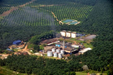 A Renewable Solution To Palm Oil S Methane Problem Climate Central