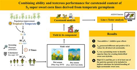 Agriculture Free Full Text Combining Ability And Testcross