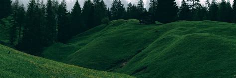 Sidney Bokep XXX DickForLily Sex Film USA SidneyBarbei849 Twitter