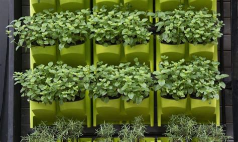 Revolutionize Your Growing With Advanced Hydroponic Systems