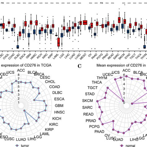 A Expression Of CD276 In Tumor Cell Lines B Subcellular Localization