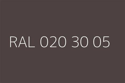 Ral 020 30 05 Color Hex Code