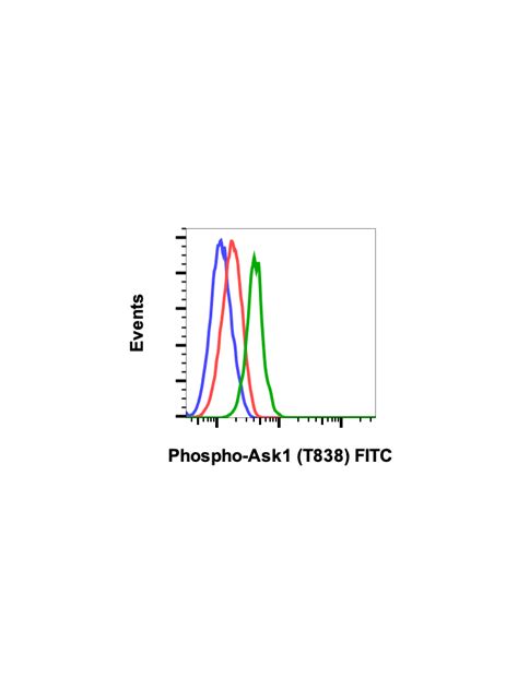 Phospho Ask1 Thr838 8D12 Rabbit MAb FITC Conjugate Abwiz Bio