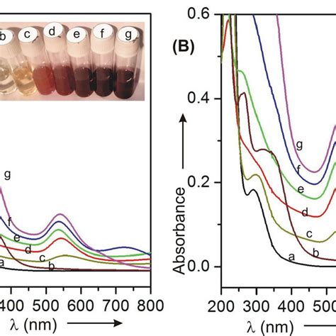 A UV Visible Spectra Recorded In A 2 Mm Path Length Cell Of A