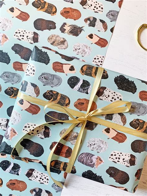 Guinea Pig Wrapping Paper Types Of Guinea Pigs Guinea Pig T