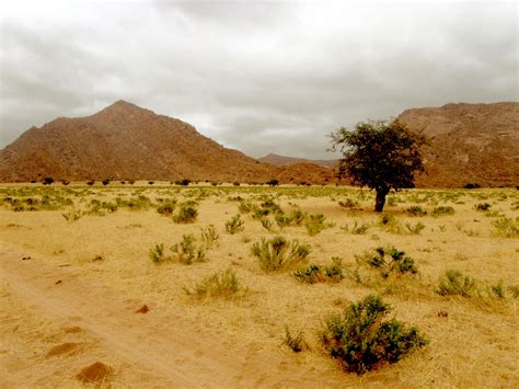 Hills And Desert Free Stock Photo Public Domain Pictures