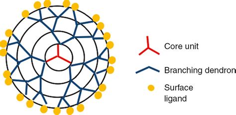 Schematic Illustration Of Dendrimer Download Scientific Diagram