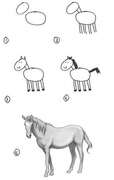 Como Dibujar Un Caballo Paso A Paso