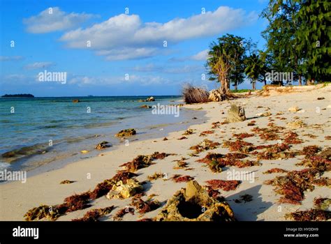 Saipan Beaches