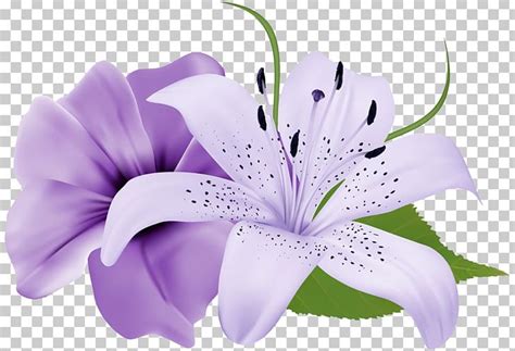 Flower Purple Lavender PNG Clipart Border Frames Clip Art Color