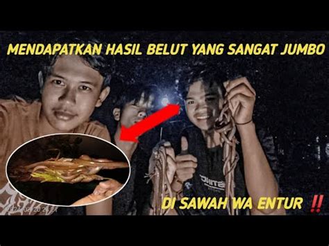 Mencari Belut Jumbo Yang Berada Di Area Per Sawahan Yang Dalem Youtube