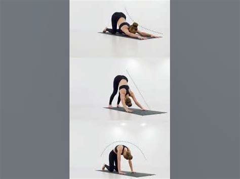 3 лучших упражнения для растяжки спины | Повторяйте каждое упражнение ...