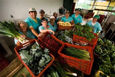 Senar de Santa Catarina beneficiará cerca de 4 8 mil produtores