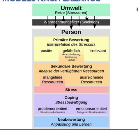 Entwicklungspsychologie Karteikarten Quizlet