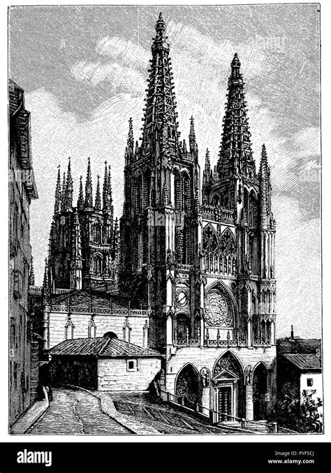 Catedral de burgos dibujo fotografías e imágenes de alta resolución Alamy