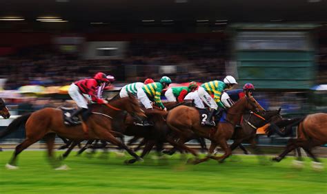 Betting Basics - Betting for beginners | Sporting Life